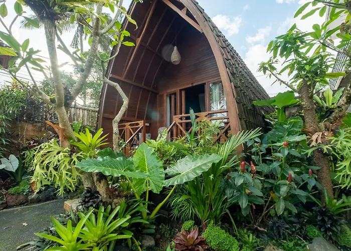 Budha House