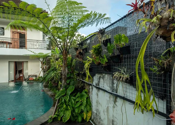 Budha House